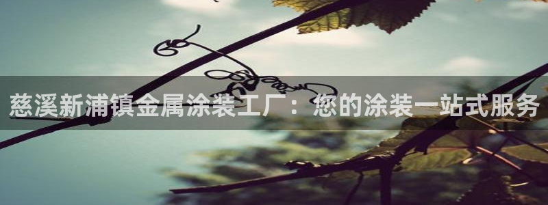美狮美高梅酒店哪年开业