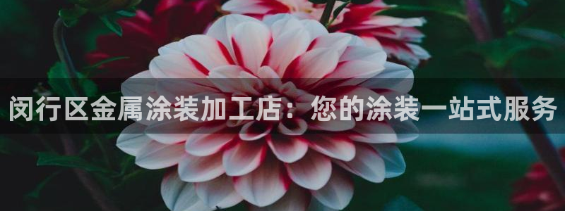 美高梅现状