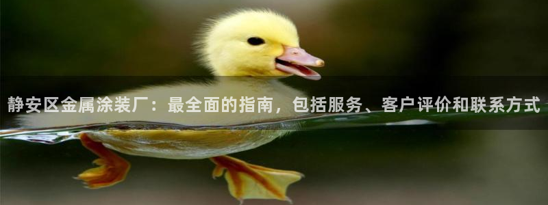 美高梅在哪