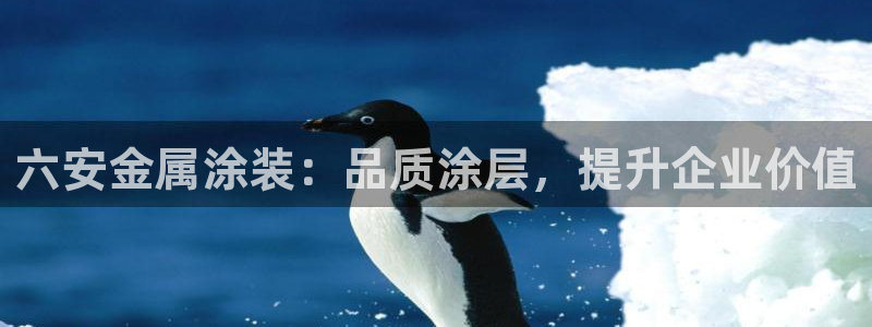 美高梅会员卡积分送什么