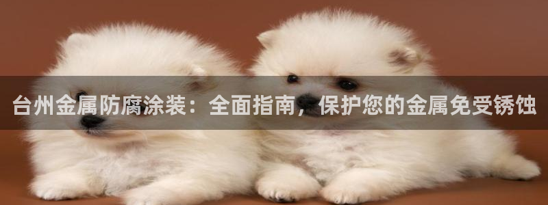 美高梅酒店集团简介