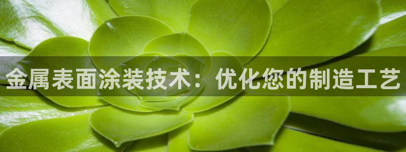 美高梅提不了款怎么办