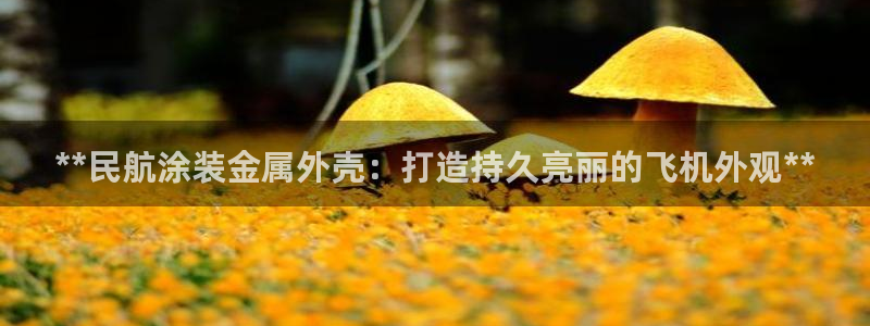 美高梅会员卡级别黑卡