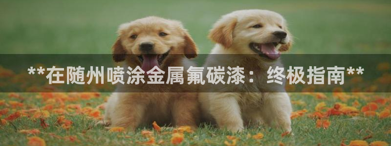 美高梅VIP音乐会