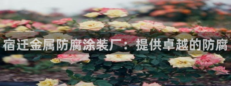 美狮美高梅酒店海洋秀