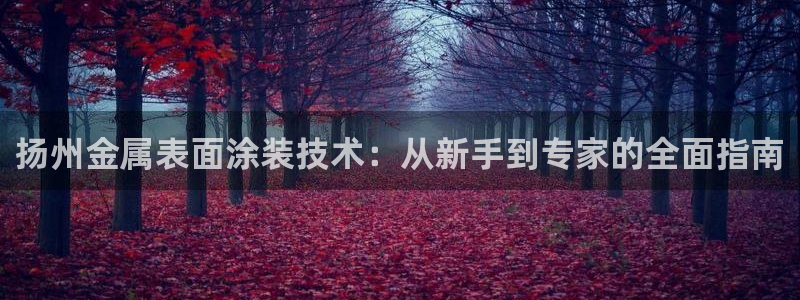 美高梅会员卡怎么用