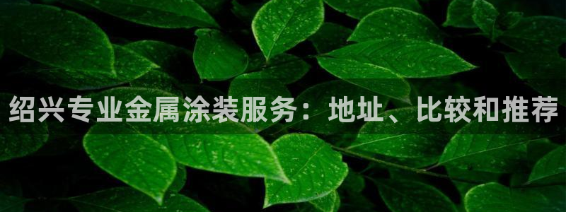 美高梅现在由谁在经营