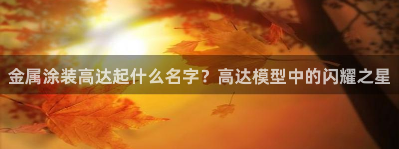 美高梅国际集团简介