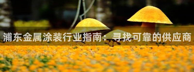 美高梅和米高梅是一家公司吗知乎