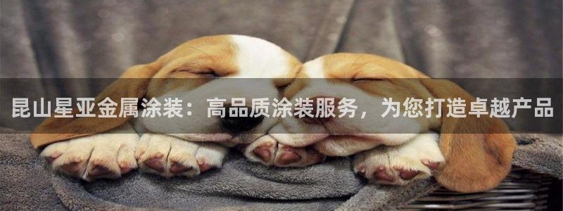 美高梅偶遇何超琼