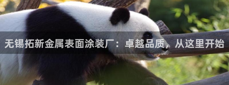 美高梅集团是哪个国家