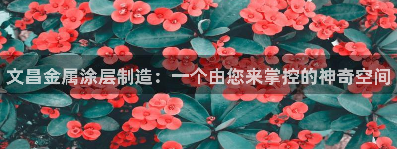 美高梅北京丰台