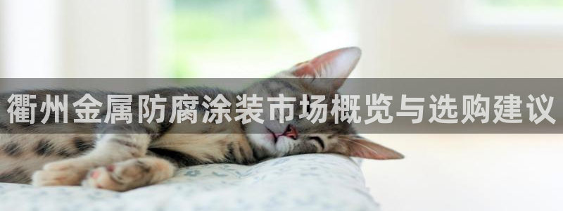 美高梅物业管理有限公司