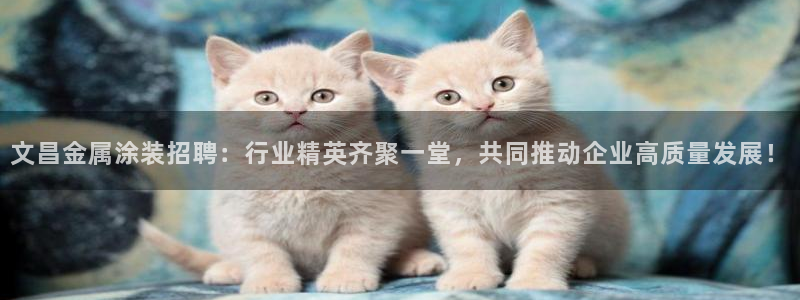 美高梅堵场