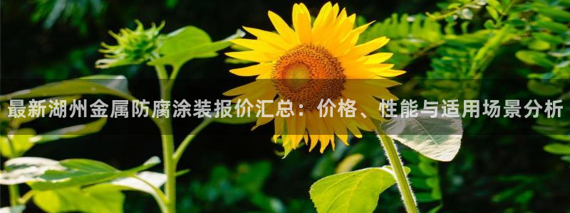 美高梅酒店前台：最新湖州金属防腐涂装报价