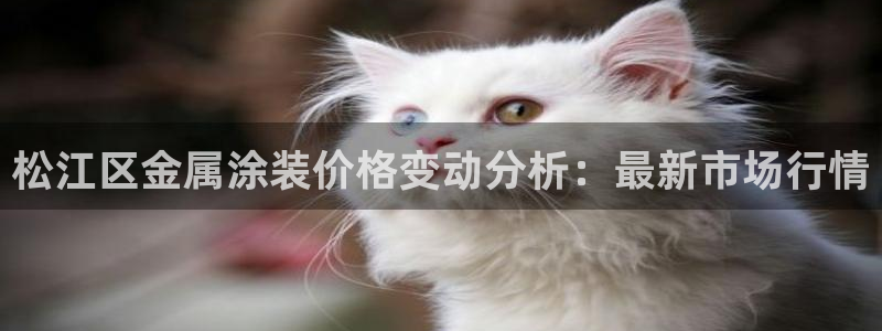 美高梅儿童玩具城