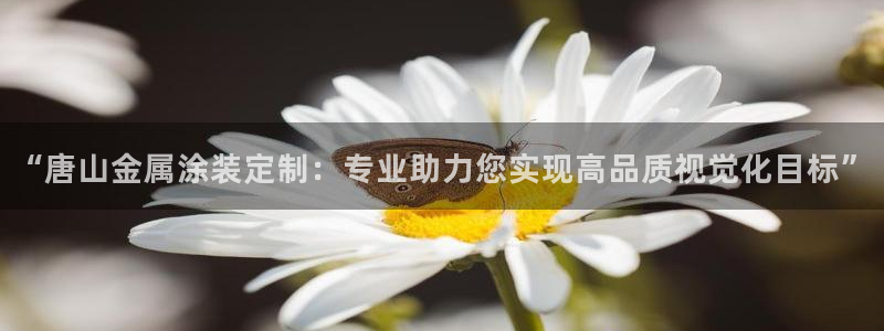 美高梅集团何超琼