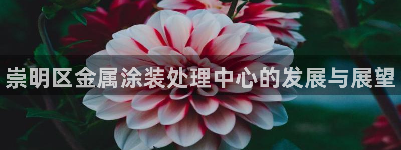 美高梅筹码最低多少钱