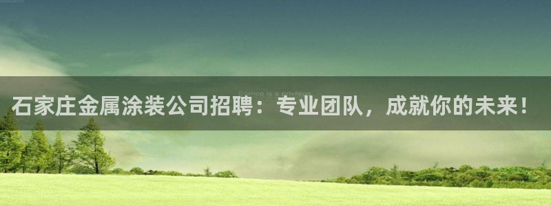 美高梅中国是什么公司