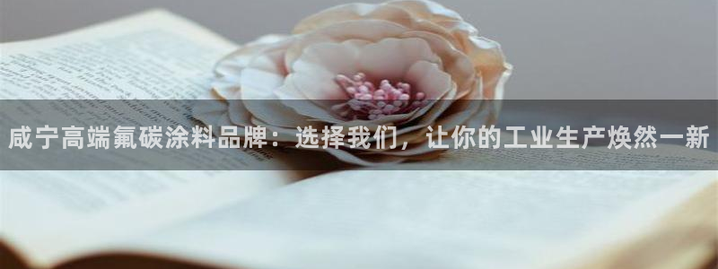 美高梅1000万筹码图片