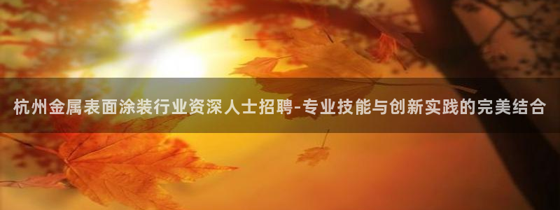 美国美高梅酒店集团：杭州金属表面涂装行业