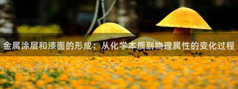 美高梅酒店入住率：金属涂层和漆面的形成：