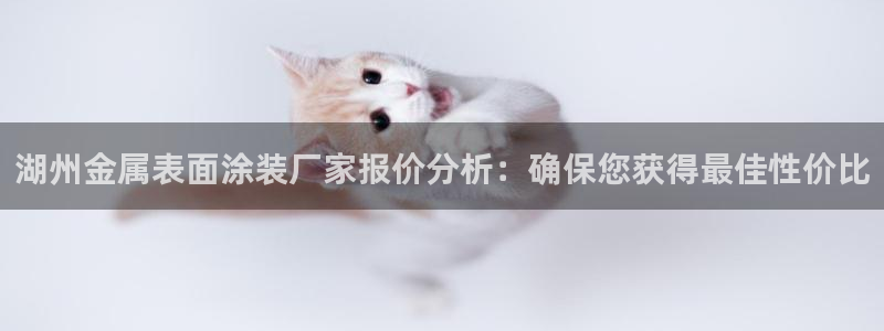 美高梅酒店图片