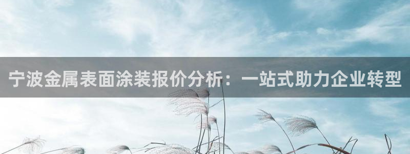 美高梅酒店集团的创始人：宁波金属表面涂装