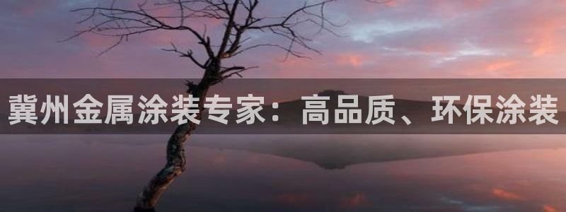 美高梅中国控股有限公司 介绍