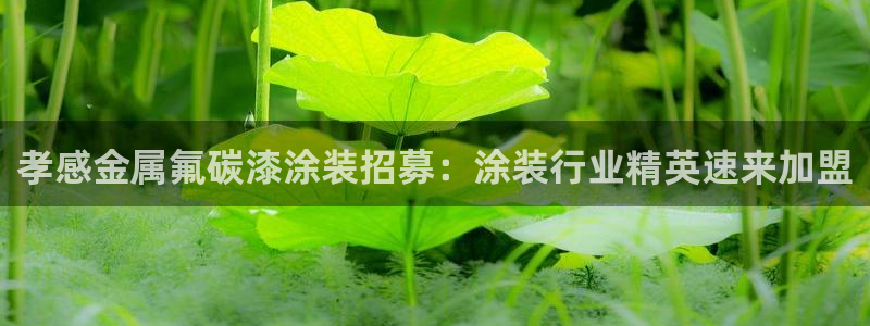 美高梅酒店和丽思卡尔顿哪个好