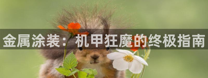 美高梅股份有限公司