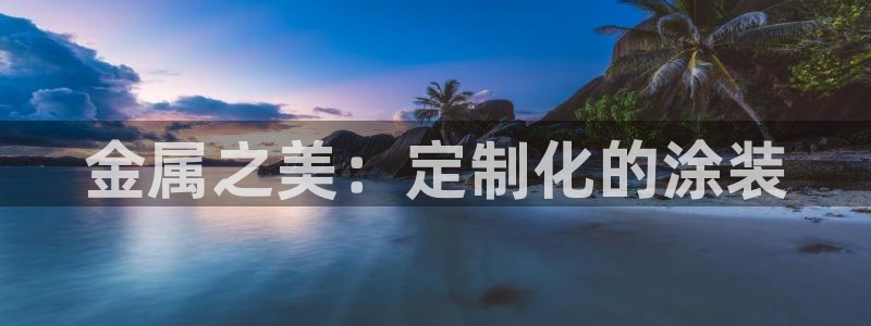 美高梅黑我钱怎么办