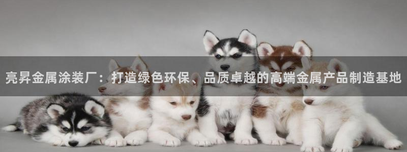 美高梅酒店免费的东西