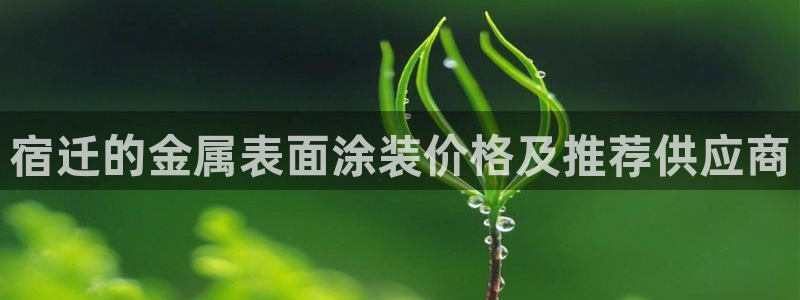 美高梅狮王卡值多少钱