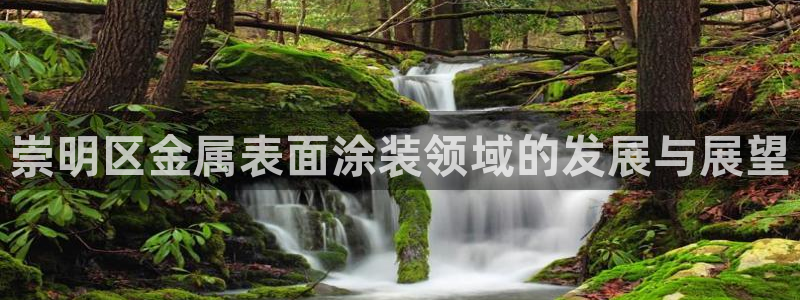 美高梅度假酒店会员卡