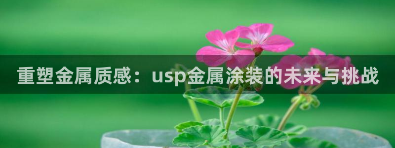 美高梅音乐会公开售票吗