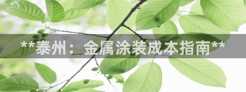 美高梅免费巴士接送时间