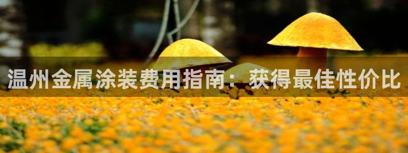 美狮美高梅酒店挂图：温州金属涂装费用指南