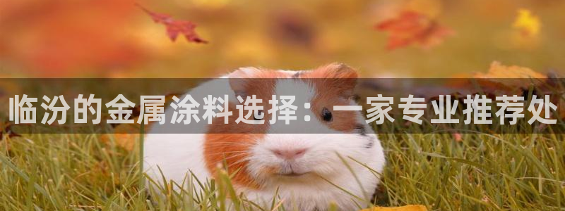 美狮美高梅酒店武汉有吗